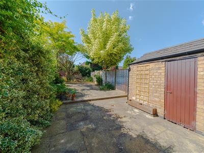 Picture 20